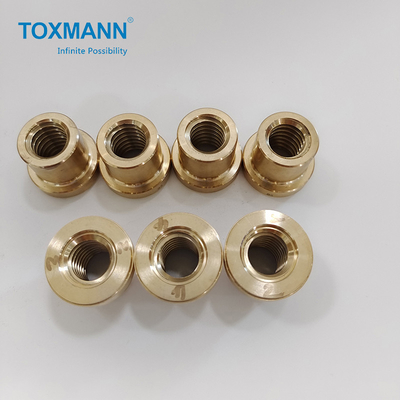 Toxmann gedrehte CNC-Abdrehen-Messingteile für Plastikform
